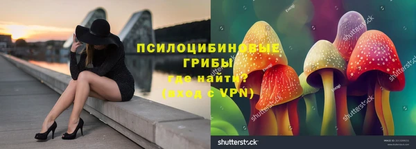 эйфоретик Белоозёрский