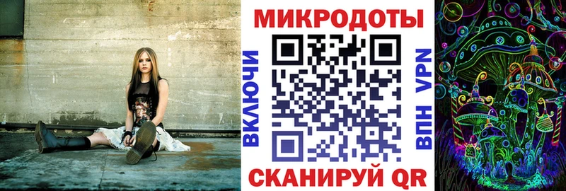 OMG tor  купить наркоту  Буйнакск  Галлюциногенные грибы GOLDEN TEACHER 
